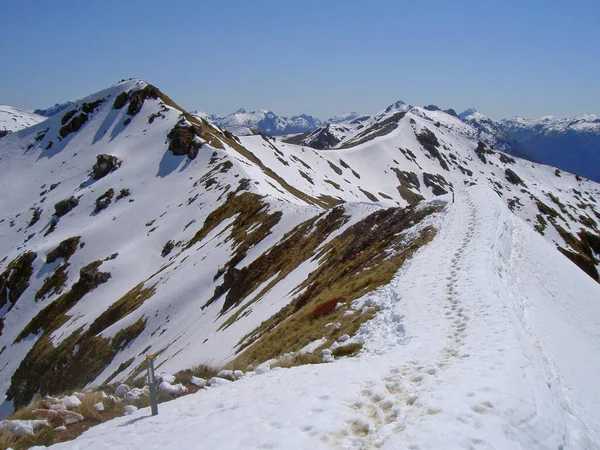 Ορεινή Κορυφογραμμή Στο Fiordland — Φωτογραφία Αρχείου