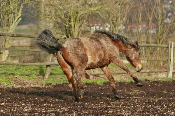 Umgekehrter Richtung Durfte Ich Wieder Aufräumen — Stockfoto