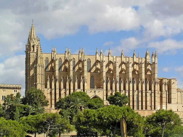 Palma Maiorca Catedral — Fotografia de Stock