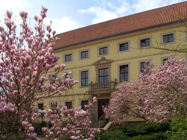 Malerischer Blick Auf Die Stadtfassaden — Stockfoto