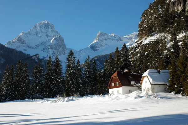 Blick Auf Die Schönen Berge Der Alpen — Stockfoto