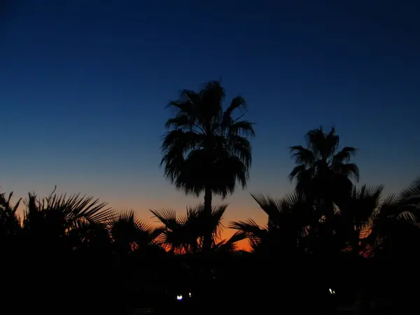 Crepúsculo Cielo Del Atardecer Tarde — Foto de Stock