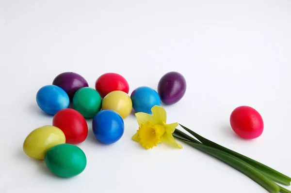 Uova Pasqua Sfondo Colorato — Foto Stock