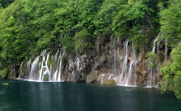 Nature Reserve Protected Area Importance Flora Fauna Features Geological Other — Stock Photo, Image