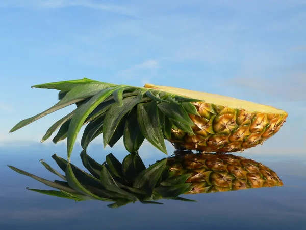 Ananas Blauwe Lucht Achtergrond — Stockfoto