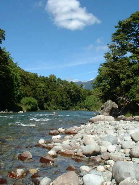 Ποταμός Στην Άγρια Φύση — Φωτογραφία Αρχείου