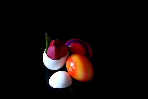 黑色背景的新鲜西红柿 — 图库照片