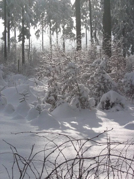 Bela Vista Paisagem Inverno — Fotografia de Stock
