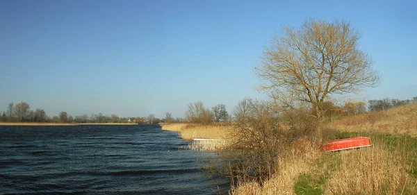 Цією Фотографією Бажаю Усім Доброго Сонячного Дня — стокове фото