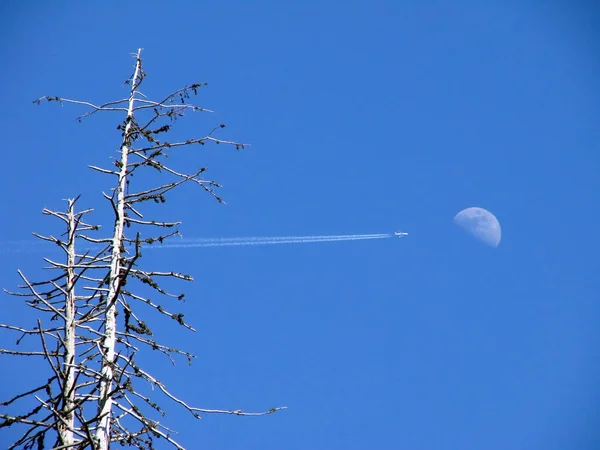 Phase Lune Dans Ciel Satellite Naturel Corps Astronomique — Photo