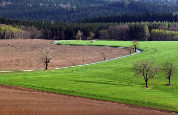 Prachtig Uitzicht Natuur — Stockfoto