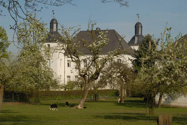 Die Weiße Burg — Stockfoto