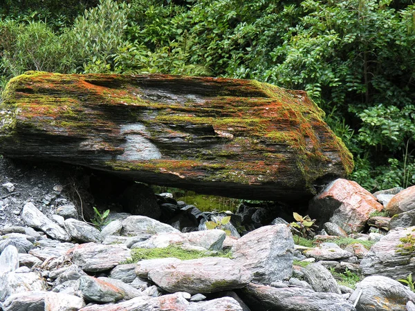 我在Nzl的弗朗茨约瑟夫冰河边发现了这块生锈的巨石 一个伟大的国家 一个伟大的主题 — 图库照片