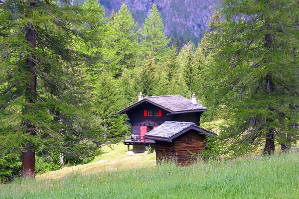 美しいアルプスの風景 — ストック写真