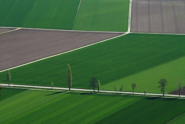 Vista Pittoresca Del Paesaggio Campagna — Foto Stock