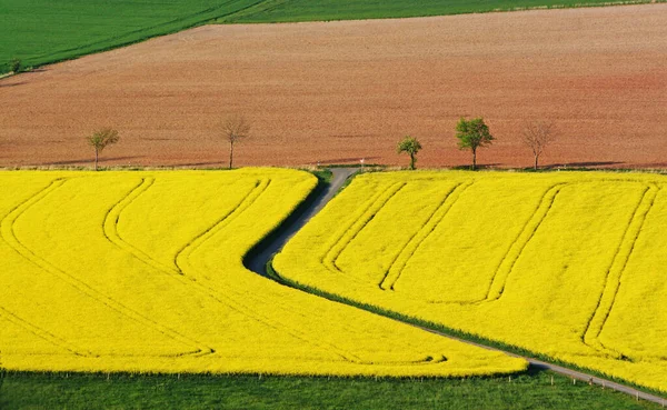 Kırsal Alanın Manzarası Seçici Odak — Stok fotoğraf