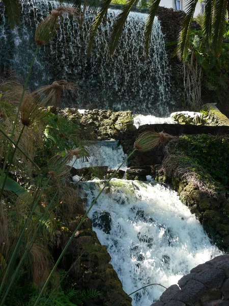 Malebný Pohled Majestátní Krajinu Vodopádem — Stock fotografie