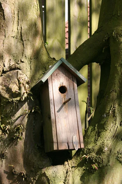 Vogelhäuschen Garten — Stockfoto