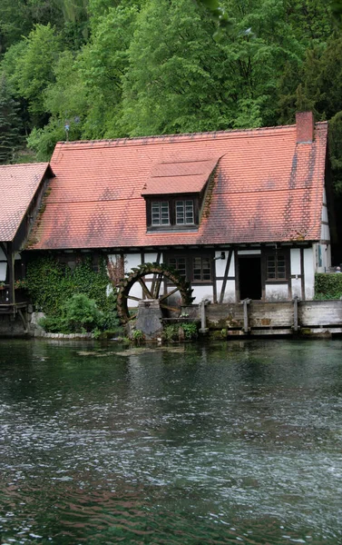 Landleben Selektiver Fokus — Stockfoto