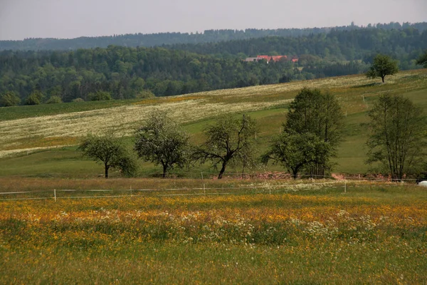 Schöne Aussicht Auf Die Natur — Stockfoto