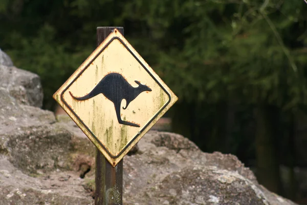Sign Cow Mountains — Stock Photo, Image