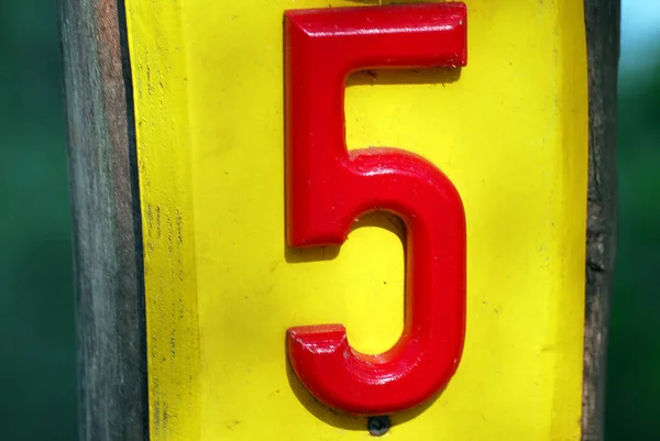 Numret Alfabetet Den Gröna Bakgrunden — Stockfoto
