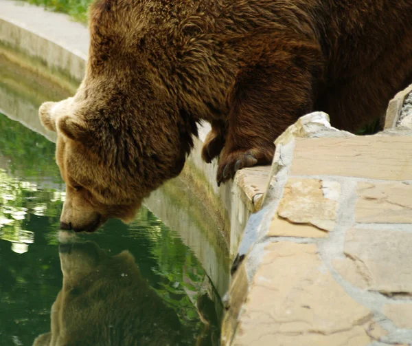 Wie Ben Jij — Stockfoto