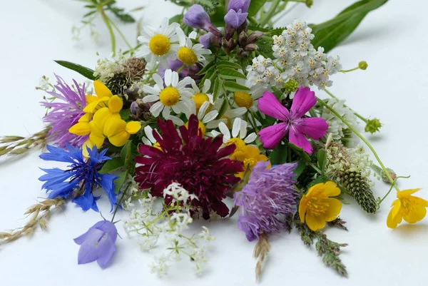 Flores Diferentes Enfoque Selectivo — Foto de Stock