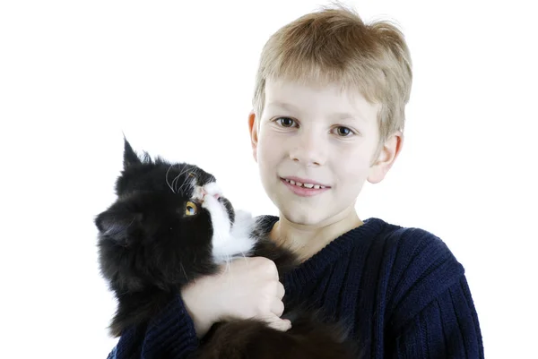 Een Jonge Jongen Met Een Kat — Stockfoto