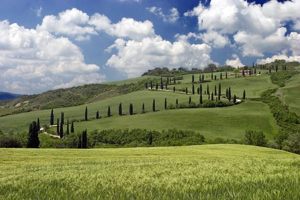 Táj Tuscany Olaszország — Stock Fotó