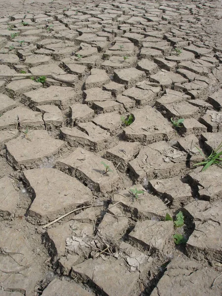 Suelo Agrietado Desierto — Foto de Stock