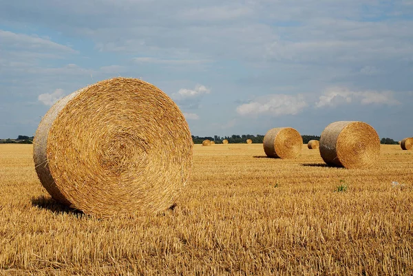 Malerischer Blick Auf Die Natur — Stockfoto