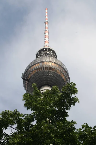 Torre Com Árvore — Fotografia de Stock