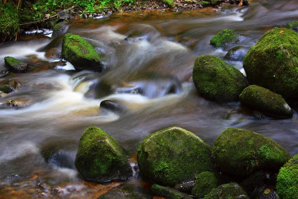 Hermosa Vista Naturaleza Escena — Foto de Stock