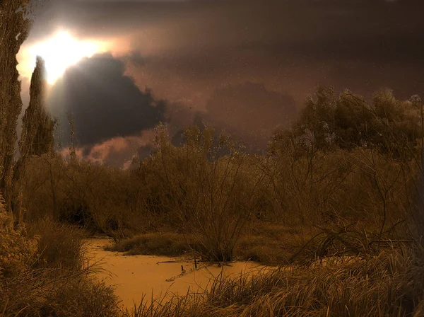 Swamp Hunting Area Scary Pictures — Stock Photo, Image