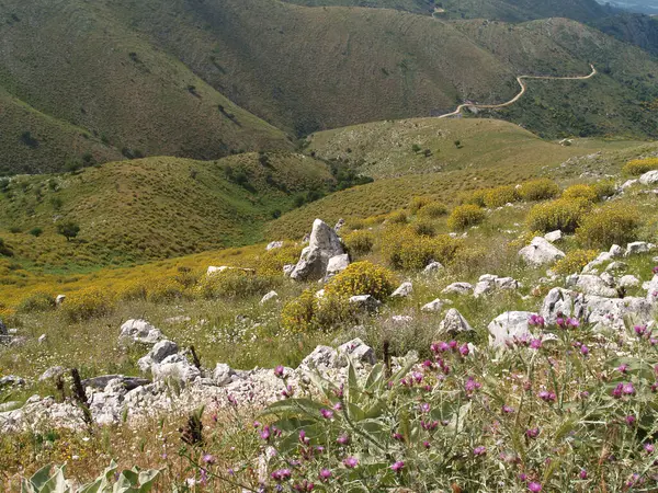 Vista Panorámica Del Hermoso Paisaje Con Cordillera —  Fotos de Stock
