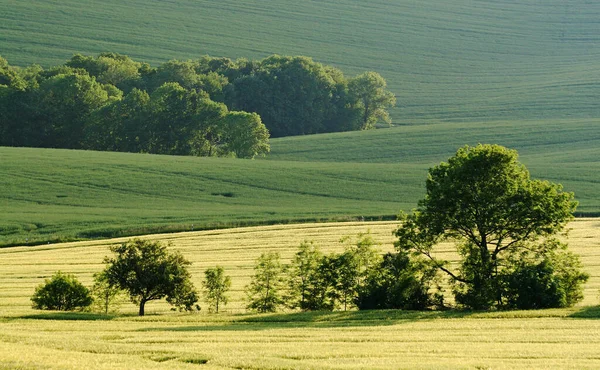 Aussichtsreicher Blick Auf Die Landwirtschaft Auf Dem Land — Stockfoto