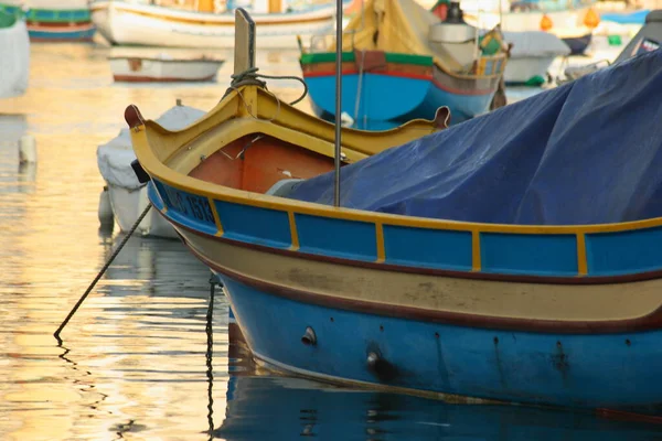Soirée Port Pêche Malte — Photo