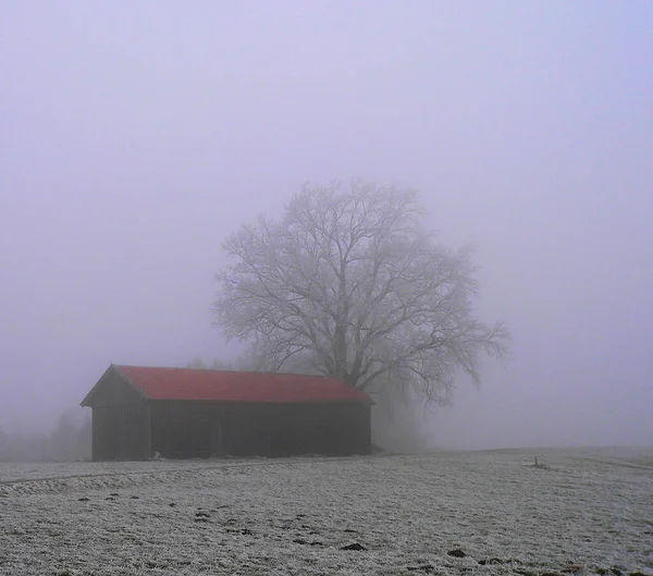 Tetto Del Fienile Davvero Così Rosso Trovato Cosi Atmosferico Questo — Foto Stock