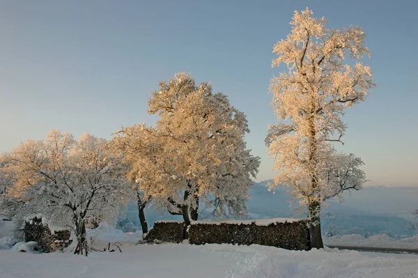 Bella Vista Del Paesaggio Invernale — Foto Stock