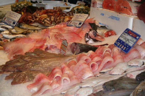 Pesce Fresco Mercato — Foto Stock