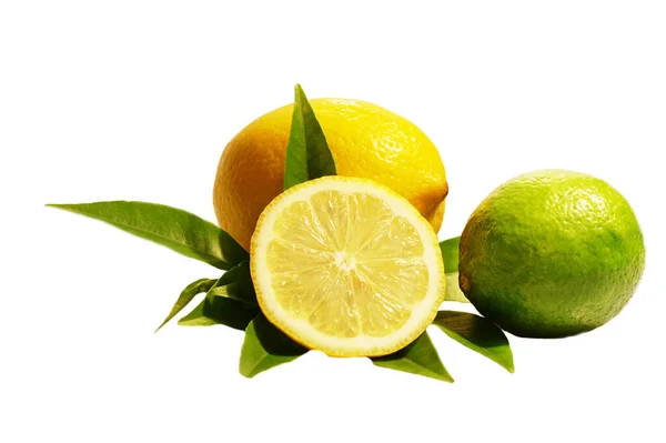 Sammansättning Citrusfrukter Närbild Skott — Stockfoto