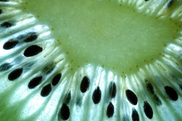 Kiwi Verde Frutas Tropicales — Foto de Stock