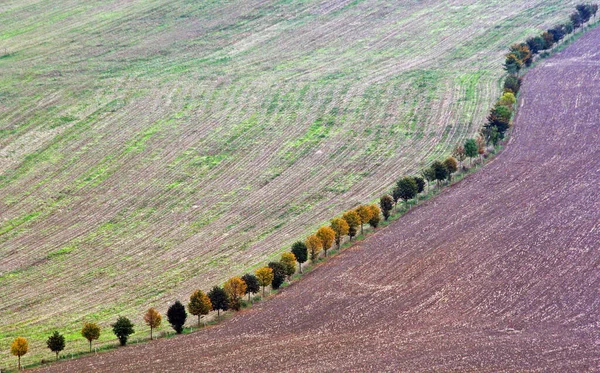 Malerischer Blick Auf Die Landschaft — Stockfoto