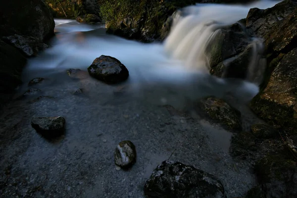 Gebirgsfluss Wald — Stockfoto