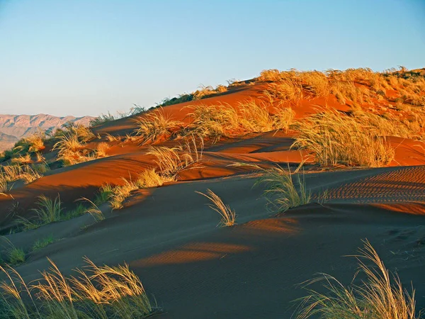 Namibya Daki Çöl Manzarası — Stok fotoğraf