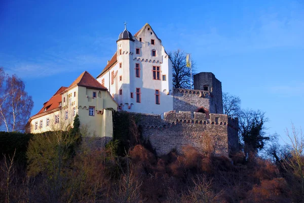 Malowniczy Widok Majestatycznej Średniowiecznej Architektury Zamku — Zdjęcie stockowe