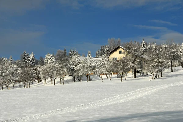 Beautiful View Winter Landscape — Stock Photo, Image