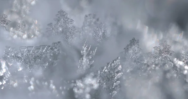 얼음으로 뒤덮인 추상적 — 스톡 사진