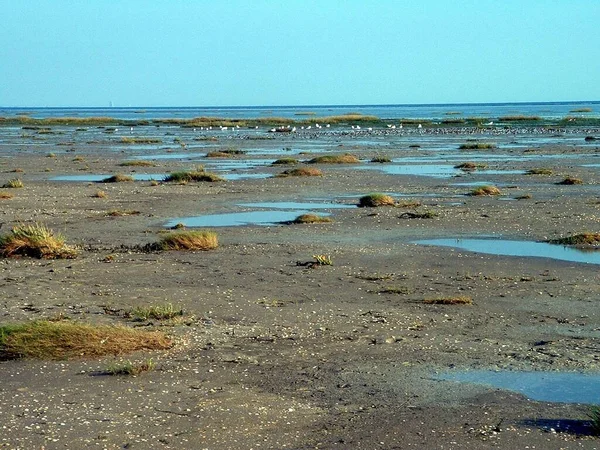 夏の自然海の海岸線 — ストック写真